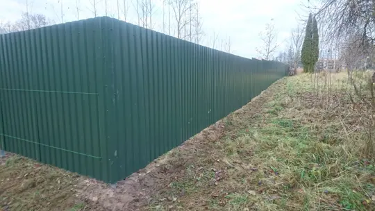 Ranilla žogi — 3