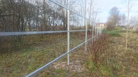 Ranilla žogi — 4