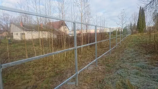 Ranilla žogi — 5
