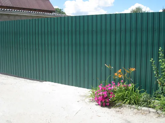 Ranilla žogi — 11