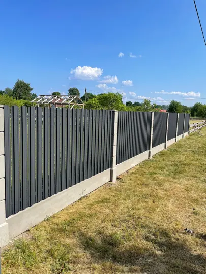 Štaketa žogi — 65